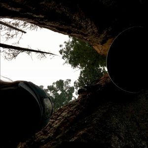 Meet your Posher, Martina